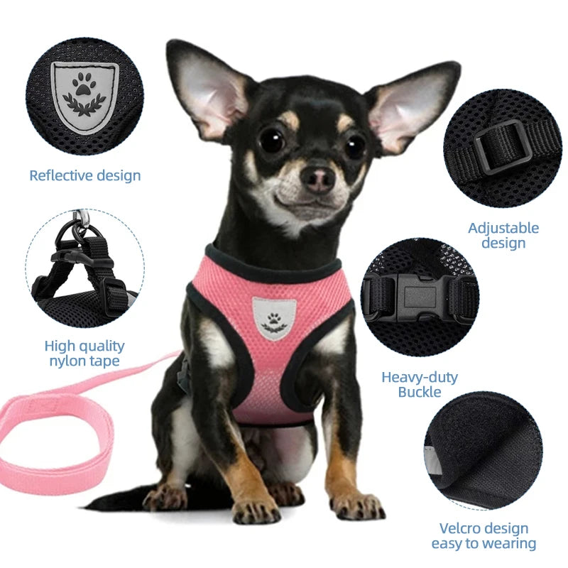 🇫🇷 Harnais pour chat avec laisse – Gilet réglable en maille respirante pour chats et petits chiens  🇬🇧 Cat Harness with Leash – Adjustable mesh vest for cats and small dogs