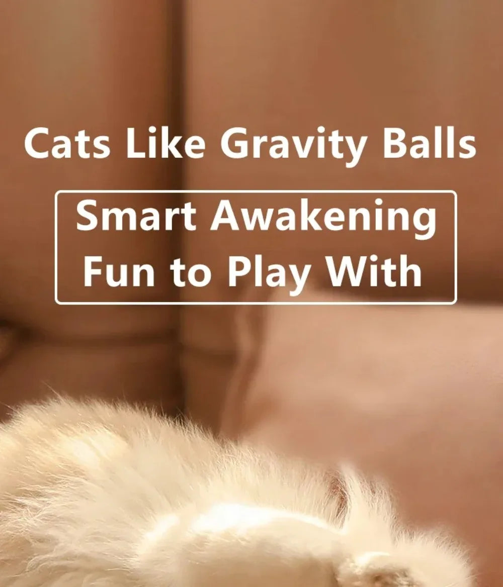 🇫🇷 Balle interactive intelligente pour chat – Jouet électronique automatique, roule toute seule et stimule l’instinct de chasse. 🇬🇧 Smart interactive cat ball – Automatic rolling electronic toy for indoor play & hunting fun.