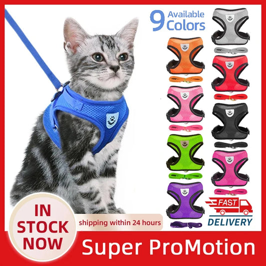 🇫🇷 Harnais pour chat avec laisse – Gilet réglable en maille respirante pour chats et petits chiens  🇬🇧 Cat Harness with Leash – Adjustable mesh vest for cats and small dogs