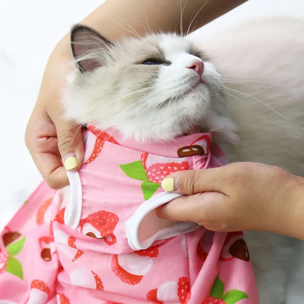🇫🇷 Combinaison de récupération pour chatte – Body post-stérilisation, anti-léchage, respirant et confortable | 🇬🇧 Cat Surgery Recovery Suit – Female Spay Onesie, Breathable Anti-Licking Clothes for Cats & Kittens