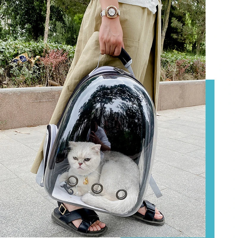🇫🇷 Sac à dos capsule transparent pour chat et petit chien – Sac de transport respirant et portable  🇬🇧 Transparent Capsule Pet Backpack – Breathable and portable carrier for cats & small dogs