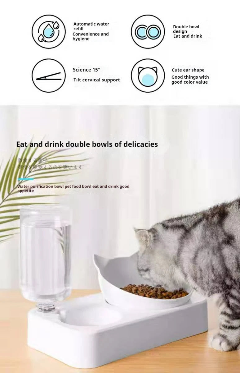 🇫🇷 Gamelles doubles pour chien & chat – Bols inclinés 15° surélevés avec bouteille d’eau automatique | 🇬🇧 Double Dog & Cat Bowls – 15° Tilted Raised Food & Water Bowls with Automatic Water Bottle Pet Feeder