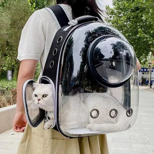 🇫🇷 Sac à dos capsule transparent pour chat et petit chien – Sac de transport respirant et portable  🇬🇧 Transparent Capsule Pet Backpack – Breathable and portable carrier for cats & small dogs