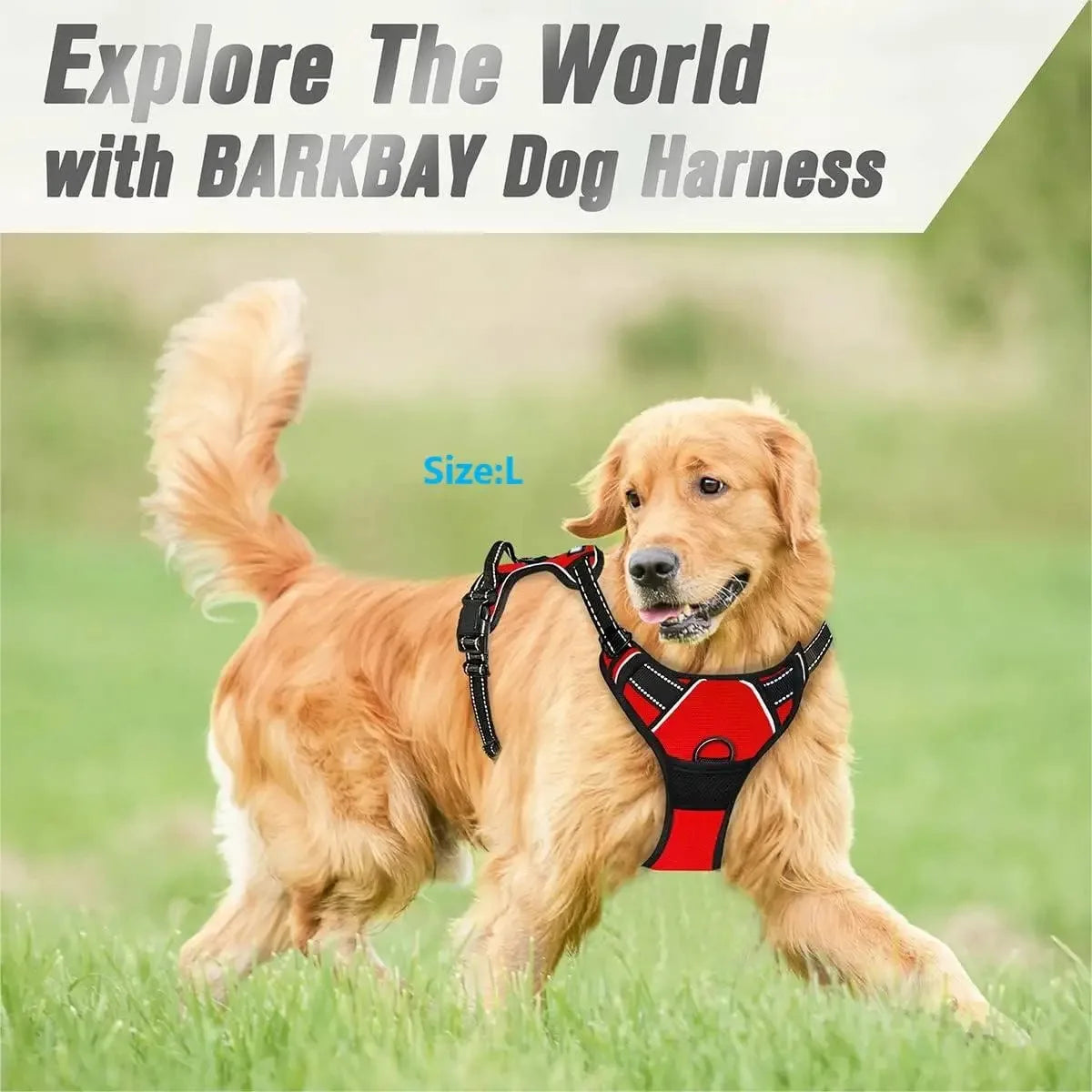🇫🇷 Colliers, harnais, laisses et accessoires pour chiens – Ensemble cuir pour chiots, petits et moyens chiens. 🇬🇧 Dog collars, harnesses, leashes & accessories – Leather set for puppies, small & medium dogs.