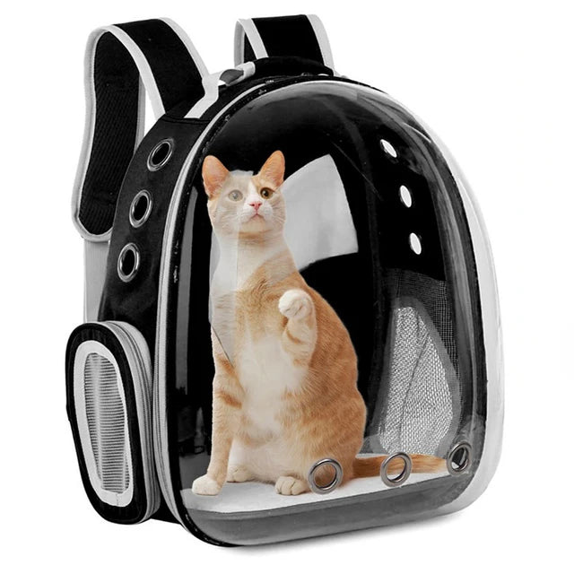 🇫🇷 Sac à dos capsule transparent pour chat et petit chien – Sac de transport respirant et portable  🇬🇧 Transparent Capsule Pet Backpack – Breathable and portable carrier for cats & small dogs