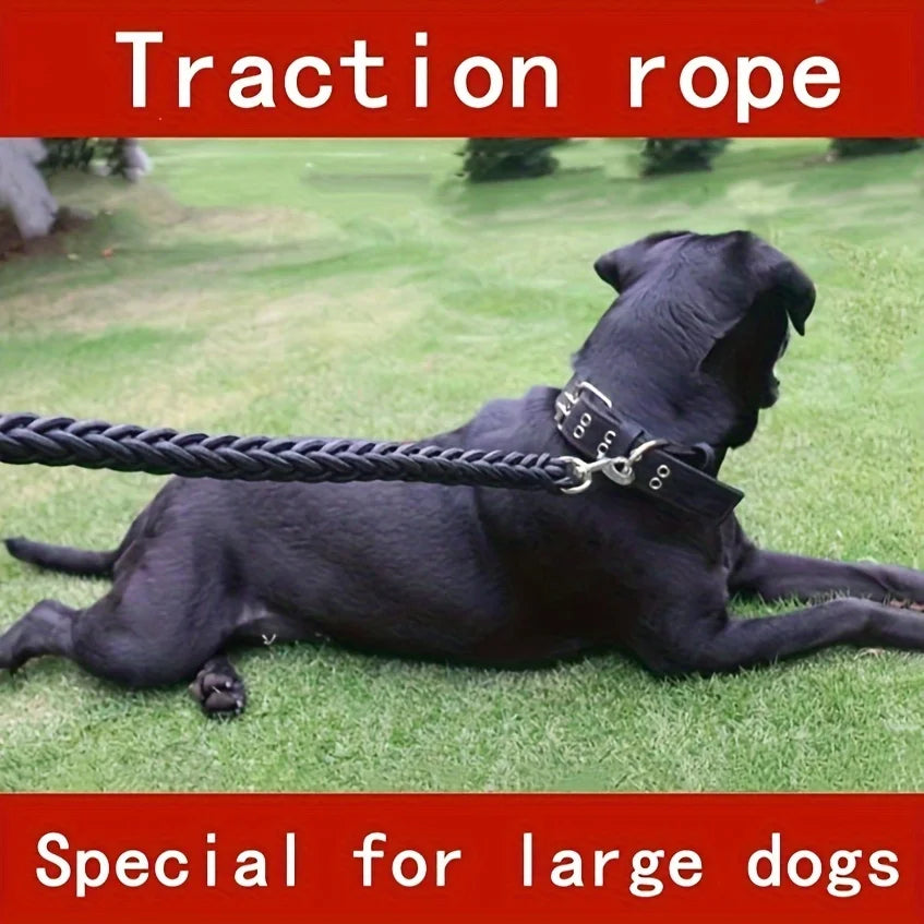 🇫🇷 Colliers confort & style pour chiens – élégants et durables. 🇬🇧 Stylish & comfy dog collars – elegant and durable.