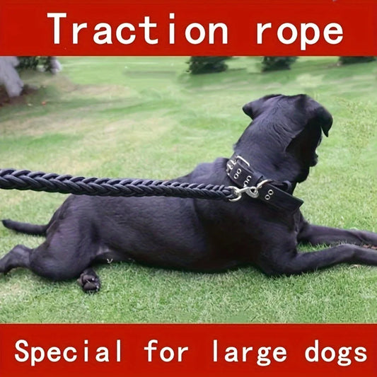 🇫🇷 Colliers confort & style pour chiens – élégants et durables. 🇬🇧 Stylish & comfy dog collars – elegant and durable.