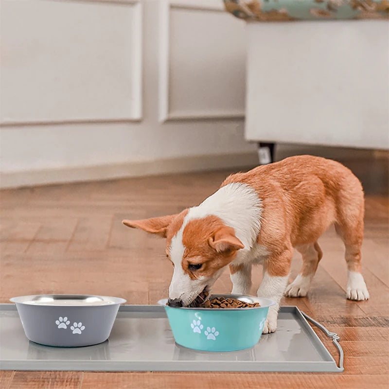 🇫🇷 Français : Gamelle antidérapante pour chiens – Bols en inox pour eau et nourriture, adaptée aux petits, moyens et grands chiens  🇬🇧 English : Non-Slip Dog Bowl – Stainless Steel Food & Water Feeder for Small, Medium & Large Dogs