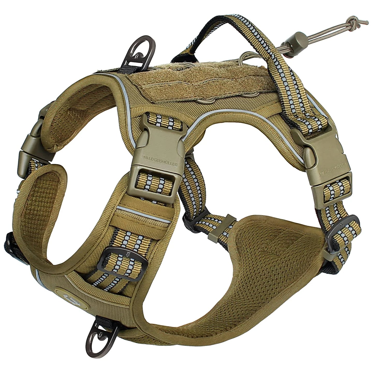 🇫🇷 Colliers stylés & confortables + modèles connectés pour suivre l’activité de votre chien. 🇬🇧 Stylish & comfy collars + smart models to track your dog’s activity.