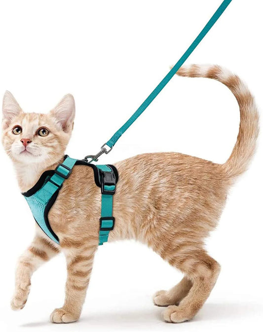 🇫🇷 Harnais pour chat avec laisse – Gilet réglable antidérapage, confortable et sécurisé pour la marche en extérieur 🇬🇧 Cat Harness and Leash – Escape-Proof Adjustable Soft Vest for Safe Outdoor Walks