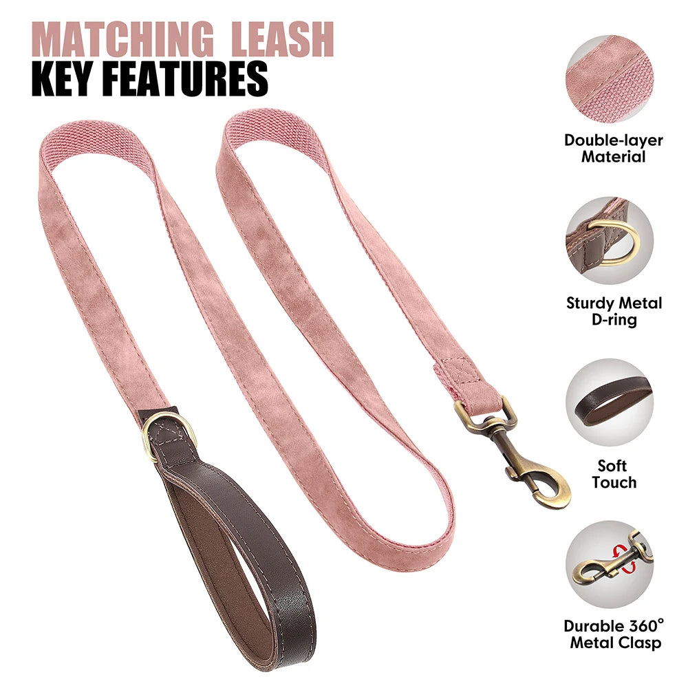 🇫🇷 Collier & laisse personnalisés en cuir PU, médaille gravée offerte. Pour petits & grands chiens (ex : carlin, labrador). 🇬🇧 PU leather custom collar & leash with free engraved tag. For small & large dogs (e.g. pug, labrador).