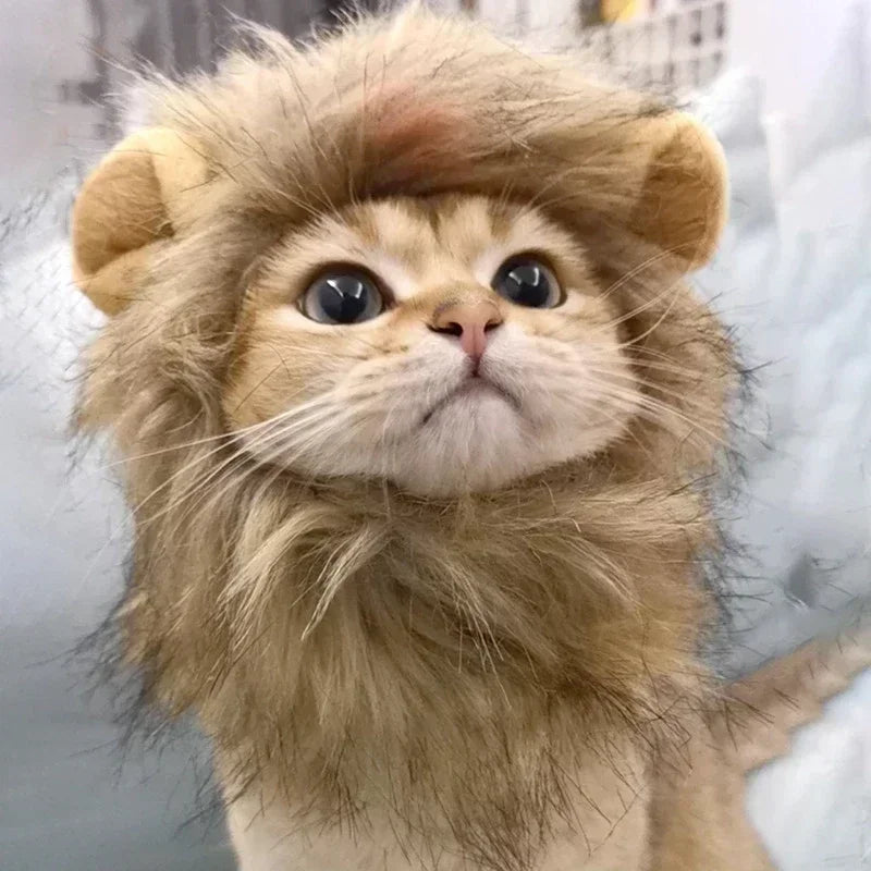 🇫🇷 Perruque crinière de lion pour chat & chiot – Chapeau cosplay déguisement Halloween & fêtes | 🇬🇧 Cat Lion Mane Hat – Cosplay Wig Costume for Cats & Puppies, Party & Halloween Decoration
