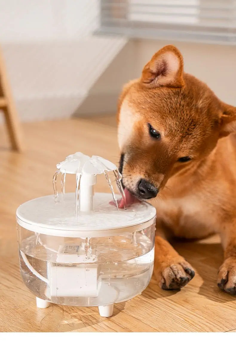 🇫🇷 Fontaine à eau électrique USB 1L pour chat – Distributeur automatique silencieux avec filtre, idéal pour chats et petits animaux. 🇬🇧 USB Electric 1L Pet Water Fountain – Silent automatic drinking dispenser with filter for cats.