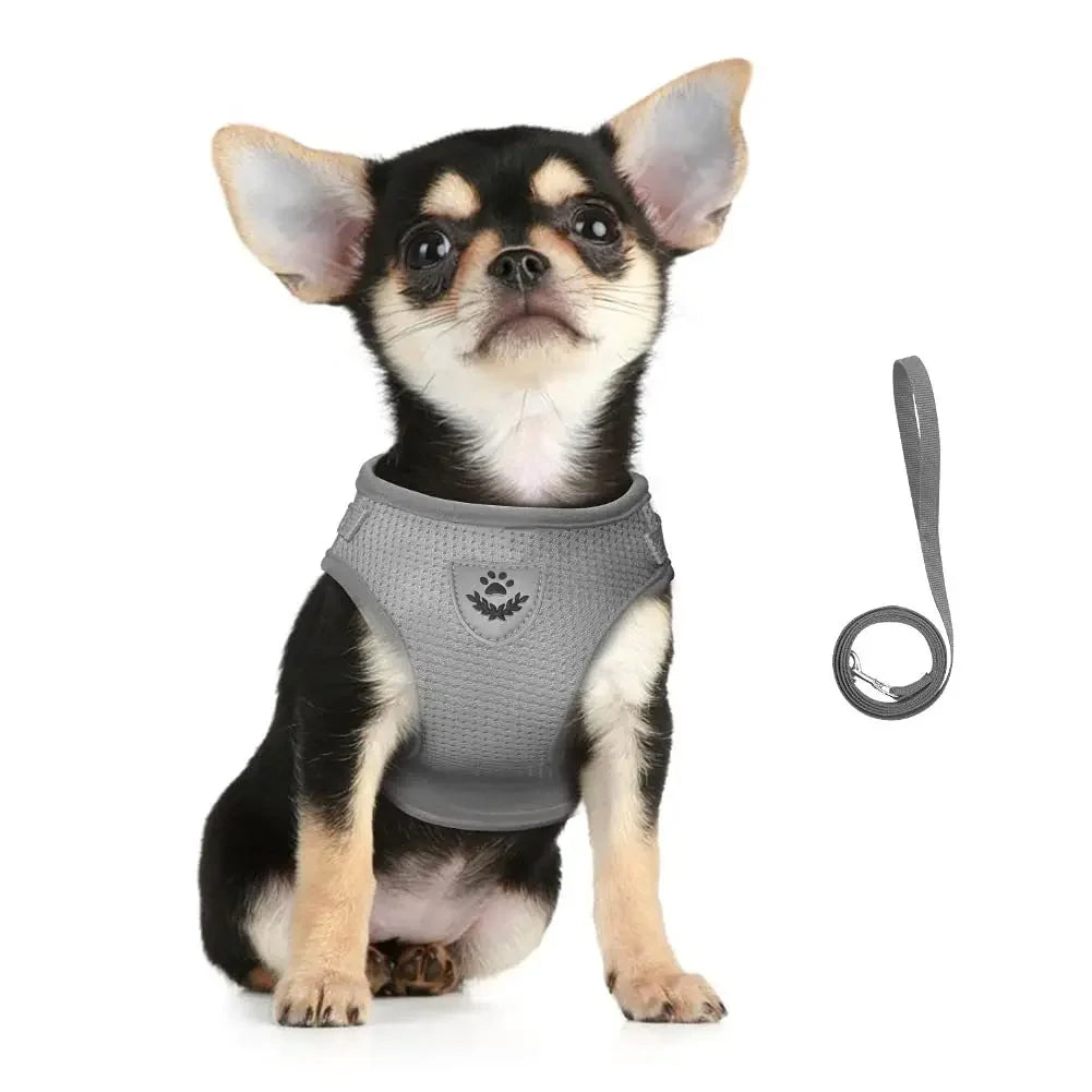 🇫🇷 Français : Harnais pour chat avec laisse – Réglable, réfléchissant et anti‑fugue – Gilet en maille pour chats et petits chiens  🇬🇧 English : Cat Harness & Leash Set – Adjustable, Reflective, Escape‑Proof Mesh Vest for Cats & Small Dogs