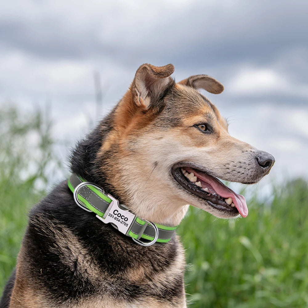 🇫🇷 Collier pour chien réfléchissant et personnalisé – Nylon gravé avec ID, rembourré et réglable pour petits, moyens et grands chiens  🇬🇧 Reflective Personalized Dog Collar – Engraved ID Nylon, Soft Padded & Adjustable for Small, Medium & Large Dogs