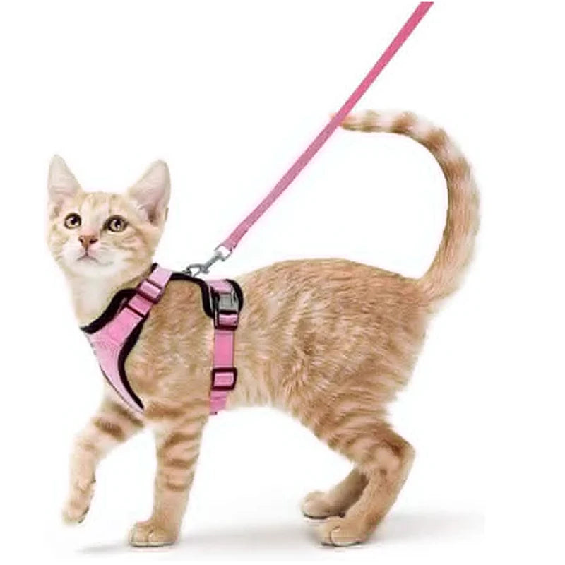 🇫🇷 Harnais pour chat avec laisse – Gilet réglable antidérapage, confortable et sécurisé pour la marche en extérieur 🇬🇧 Cat Harness and Leash – Escape-Proof Adjustable Soft Vest for Safe Outdoor Walks