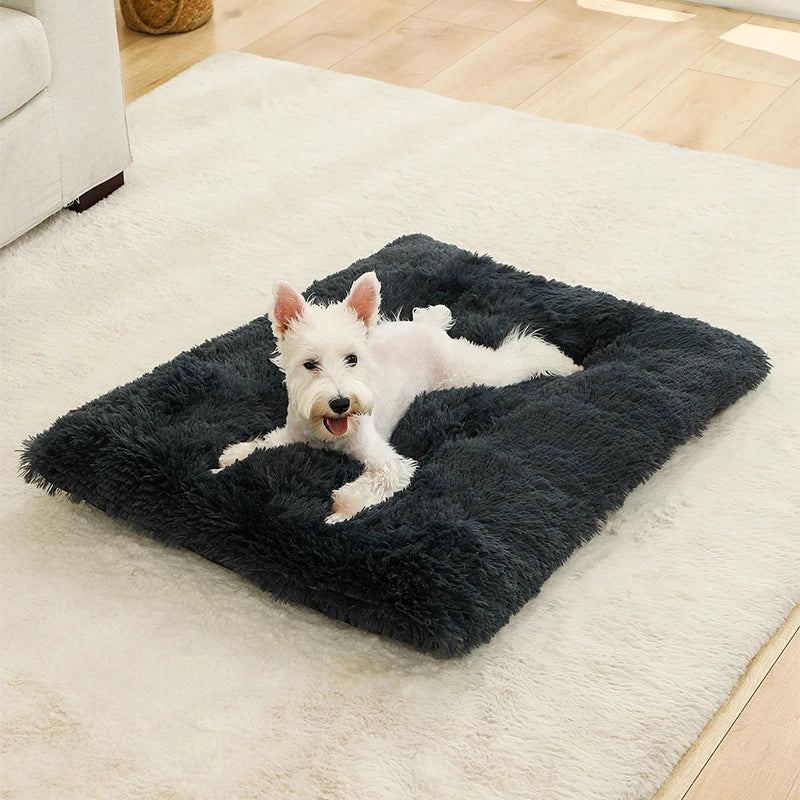 🇫🇷 Lit pour chien ultra doux – Maison en peluche longue, coussin confortable, panier ou canapé pour chiens, chats et petits animaux 🇬🇧 Soft Plush Dog Bed – Cozy House, Cushion or Sofa for Dogs, Cats & Small Pets, Ideal for Rest & Sleep