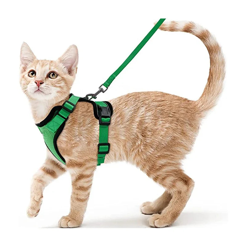 🇫🇷 Harnais pour chat avec laisse – Gilet réglable antidérapage, confortable et sécurisé pour la marche en extérieur 🇬🇧 Cat Harness and Leash – Escape-Proof Adjustable Soft Vest for Safe Outdoor Walks