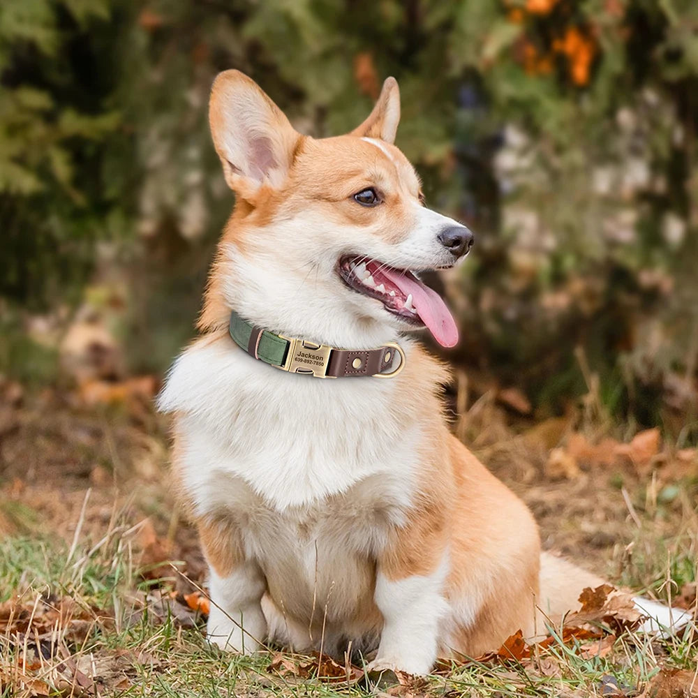 🇫🇷 Collier & laisse personnalisés en cuir PU, médaille gravée offerte. Pour petits & grands chiens (ex : carlin, labrador). 🇬🇧 PU leather custom collar & leash with free engraved tag. For small & large dogs (e.g. pug, labrador).
