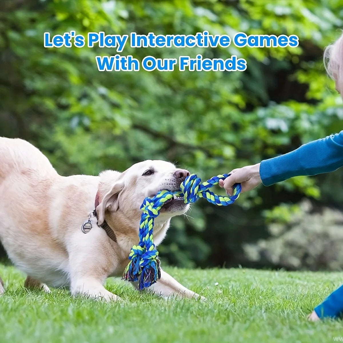 🇫🇷 Jouet à nœud résistant pour chiens moyens/grands – Mâchage & tir à la corde. 🇬🇧 Durable knot toy for medium/large dogs – Chew & tug.