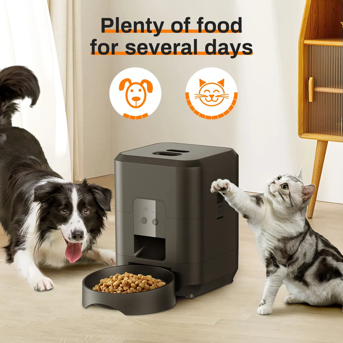 🇫🇷 🍽️ Nourriture programmée et lente – évite les excès ⏱️ Contrôle du temps – pour chiens et chats 🇬🇧 🍽️ Timed & slow feeding – avoids overeating ⏱️ Time control – for cats & dogs