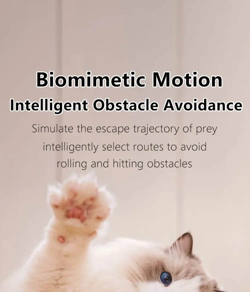 🇫🇷 Balle interactive intelligente pour chat – Jouet électronique automatique, roule toute seule et stimule l’instinct de chasse. 🇬🇧 Smart interactive cat ball – Automatic rolling electronic toy for indoor play & hunting fun.