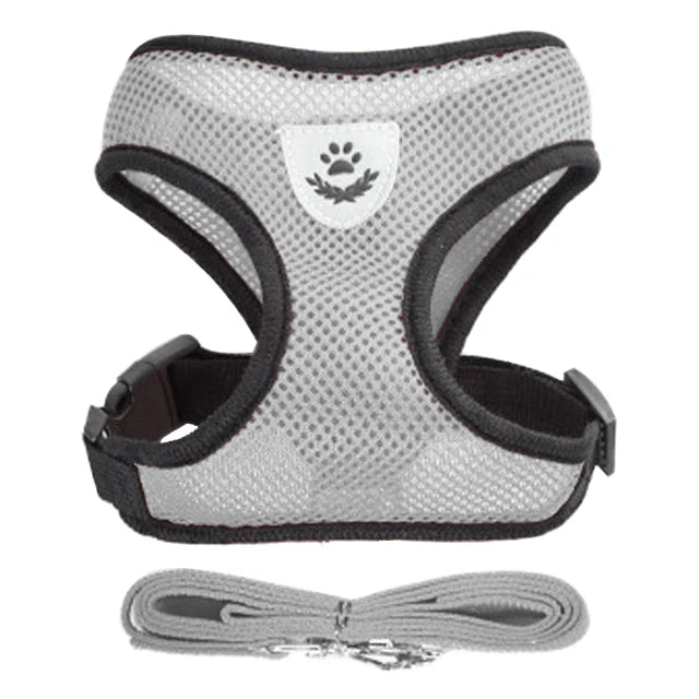 🇫🇷 Harnais pour chat avec laisse – Gilet réglable en maille respirante pour chats et petits chiens  🇬🇧 Cat Harness with Leash – Adjustable mesh vest for cats and small dogs