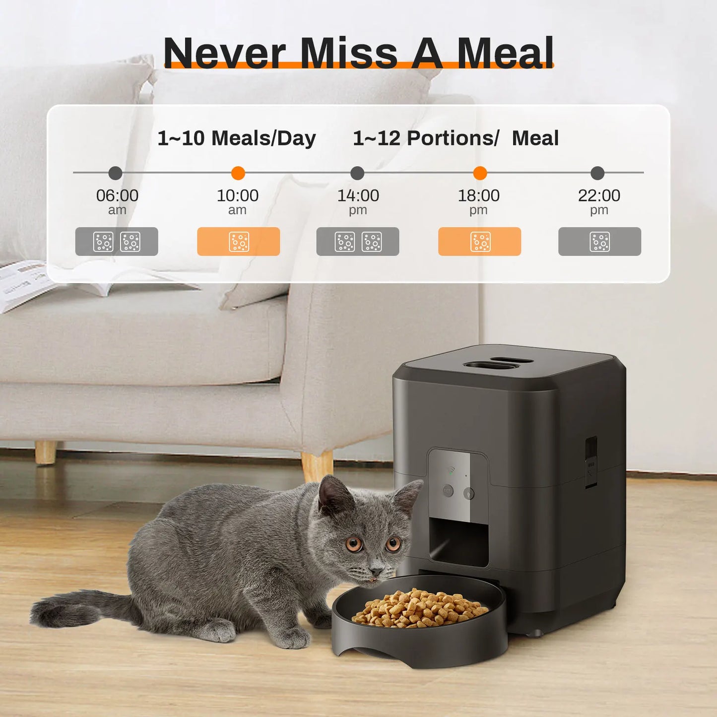 🇫🇷 🍽️ Nourriture programmée et lente – évite les excès ⏱️ Contrôle du temps – pour chiens et chats 🇬🇧 🍽️ Timed & slow feeding – avoids overeating ⏱️ Time control – for cats & dogs