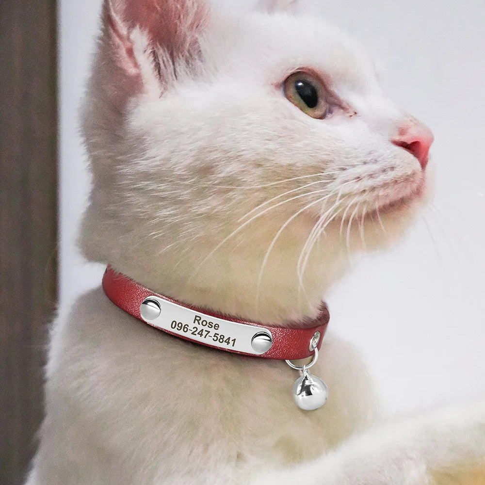 🇫🇷 Collier pour chat en cuir réglable – Personnalisé avec nom gravé, anti-perte, pour chatons et petits chiens  🇬🇧 Personalized Leather Cat Collar – Adjustable, engraved name, anti-lost, for kittens & small dogs