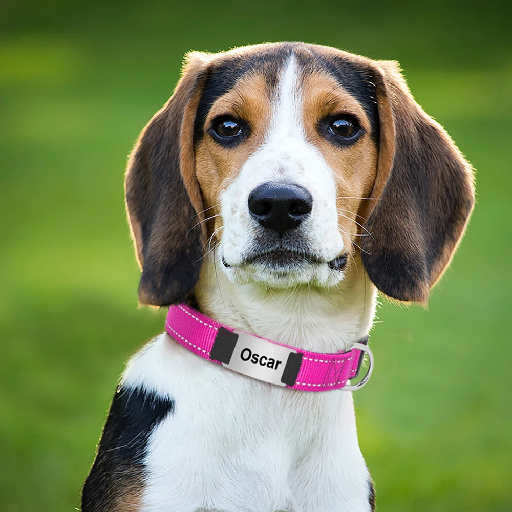 🇫🇷 Collier pour chien réfléchissant et personnalisé – Nylon gravé avec ID, rembourré et réglable pour petits, moyens et grands chiens  🇬🇧 Reflective Personalized Dog Collar – Engraved ID Nylon, Soft Padded & Adjustable for Small, Medium & Large Dogs