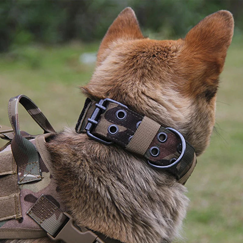 🇫🇷 Collier pour chien réglable – Nylon tactique réfléchissant, solide et idéal pour l’entraînement des grands chiens  🇬🇧 Adjustable Dog Collar – Reflective tactical nylon, strong and ideal for training large dogs