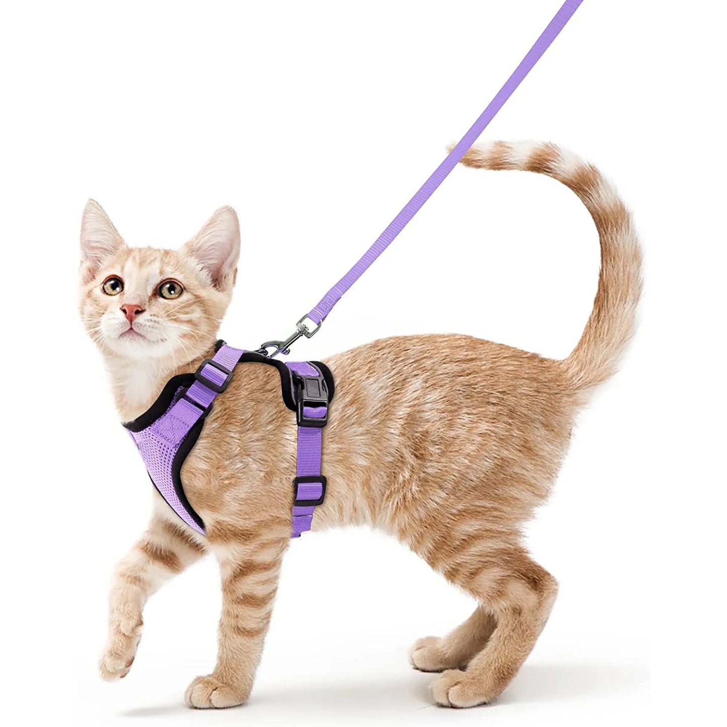 🇫🇷 Harnais pour chat avec laisse – Gilet réglable antidérapage, confortable et sécurisé pour la marche en extérieur 🇬🇧 Cat Harness and Leash – Escape-Proof Adjustable Soft Vest for Safe Outdoor Walks