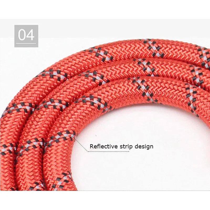 🇫🇷 Laisse pour chien réfléchissante avec poignée rembourrée – Corde double résistante pour chiens puissants, plus de sécurité et de contrôle  🇬🇧 Reflective Dog Leash with Padded Handle – Double Heavy-Duty Rope for Strong Dogs, Enhanced Safety & Control