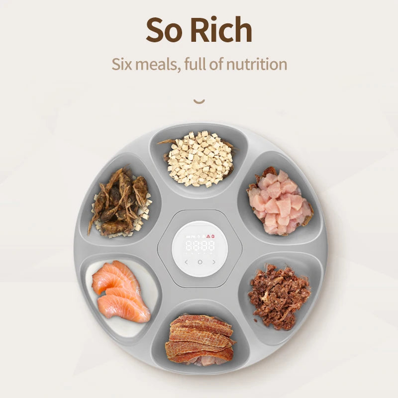 🇫🇷 ROJECO Distributeur Automatique 6 Repas – Nourrisseur Intelligent pour Croquettes & Pâtée, Accessoires, Distributeur Chat 🇬🇧 ROJECO 6 Meals Automatic Pet Feeder – Smart Cat Food Dispenser for Kibble & Wet Food, Accessories, Auto Feeder