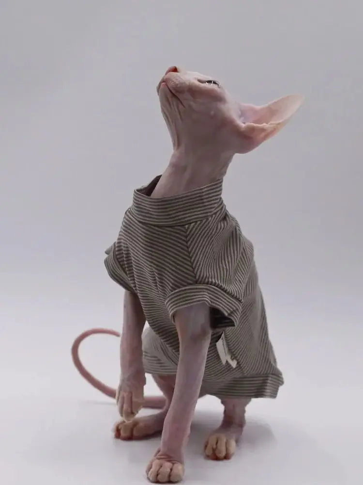 🇫🇷 Gilet en Coton pour Chat Sphynx – Rayures Marron, Manches Courtes, Vêtement Doux pour Devon Rex & Chatons (Printemps/Été) | 🇬🇧 Fashion Cotton Vest for Sphynx Cat – Brown Stripes, Short Sleeves Soft Coat for Devon Rex & Kittens (Spring/Summer)
