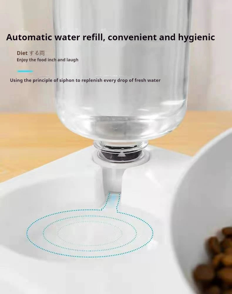 🇫🇷 Gamelles doubles pour chien & chat – Bols inclinés 15° surélevés avec bouteille d’eau automatique | 🇬🇧 Double Dog & Cat Bowls – 15° Tilted Raised Food & Water Bowls with Automatic Water Bottle Pet Feeder
