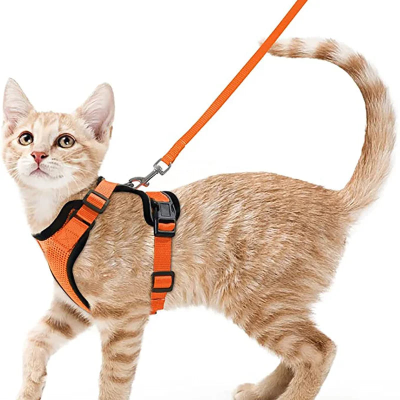 🇫🇷 Harnais pour chat avec laisse – Gilet réglable antidérapage, confortable et sécurisé pour la marche en extérieur 🇬🇧 Cat Harness and Leash – Escape-Proof Adjustable Soft Vest for Safe Outdoor Walks