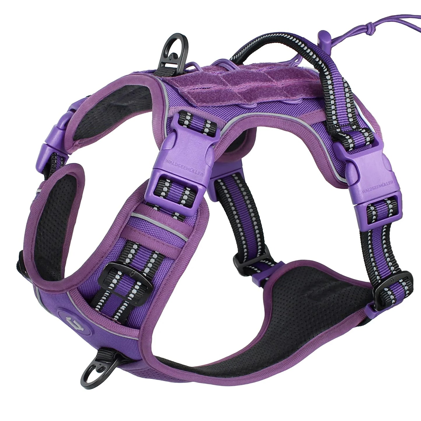 🇫🇷 Colliers stylés & confortables + modèles connectés pour suivre l’activité de votre chien. 🇬🇧 Stylish & comfy collars + smart models to track your dog’s activity.