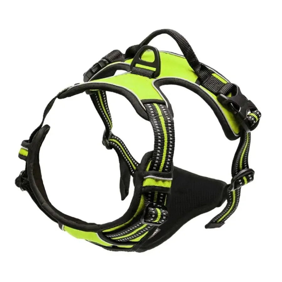🇫🇷 Colliers, harnais, laisses et accessoires pour chiens – Ensemble cuir pour chiots, petits et moyens chiens. 🇬🇧 Dog collars, harnesses, leashes & accessories – Leather set for puppies, small & medium dogs.