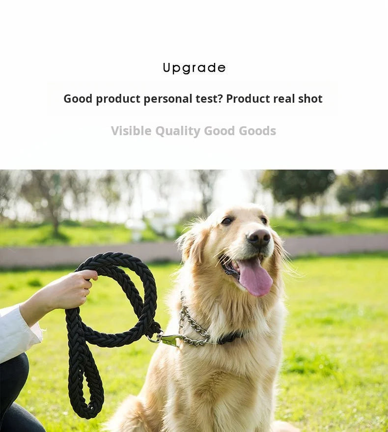🇫🇷 Colliers confort & style pour chiens – élégants et durables. 🇬🇧 Stylish & comfy dog collars – elegant and durable.