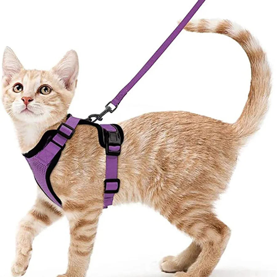 🇫🇷 Harnais pour chat avec laisse – Gilet réglable antidérapage, confortable et sécurisé pour la marche en extérieur 🇬🇧 Cat Harness and Leash – Escape-Proof Adjustable Soft Vest for Safe Outdoor Walks