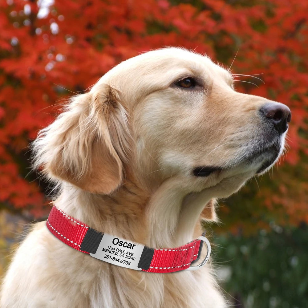 🇫🇷 Collier pour chien réfléchissant et personnalisé – Nylon gravé avec ID, rembourré et réglable pour petits, moyens et grands chiens  🇬🇧 Reflective Personalized Dog Collar – Engraved ID Nylon, Soft Padded & Adjustable for Small, Medium & Large Dogs