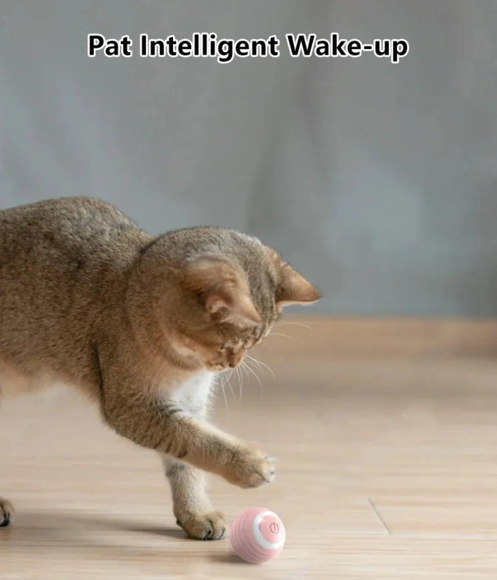 🇫🇷 Balle interactive intelligente pour chat – Jouet électronique automatique, roule toute seule et stimule l’instinct de chasse. 🇬🇧 Smart interactive cat ball – Automatic rolling electronic toy for indoor play & hunting fun.