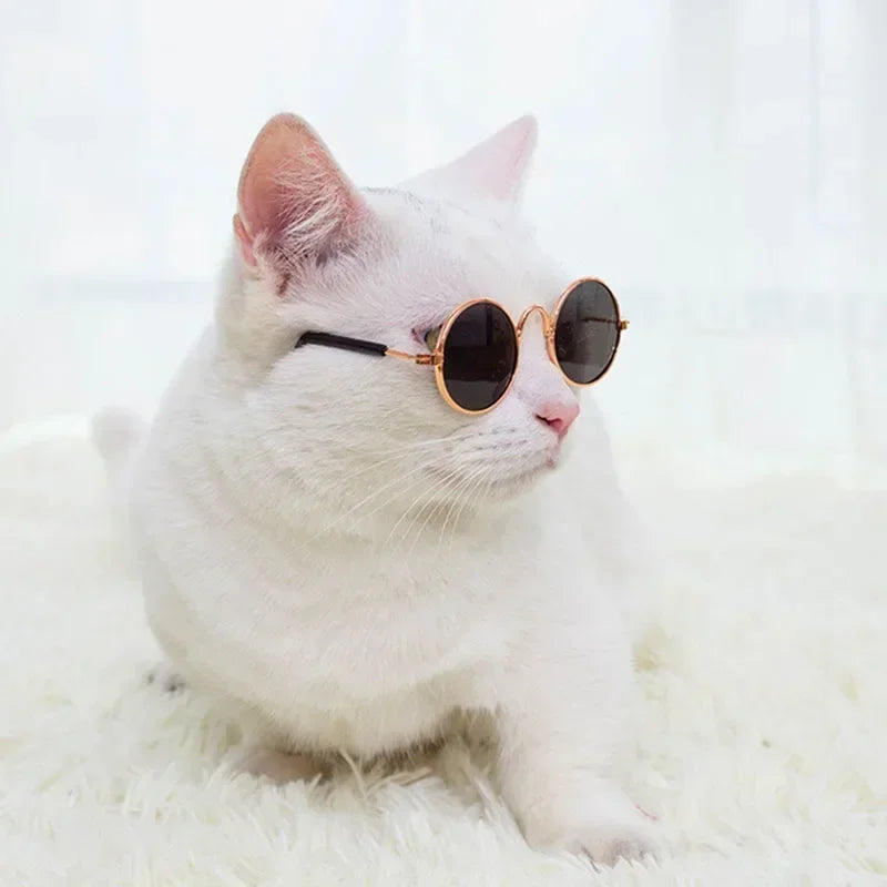 🇫🇷 Français : Lunettes de soleil pour chats et petits chiens – Protection UV, accessoire photo et cosplay  🇬🇧 English : Cat & Small Dog Sunglasses – UV Protection, Cute Cosplay & Photo Prop