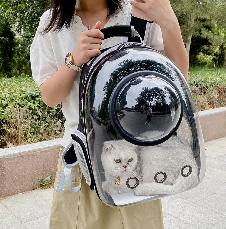 🇫🇷 Sac à dos capsule transparent pour chat et petit chien – Sac de transport respirant et portable  🇬🇧 Transparent Capsule Pet Backpack – Breathable and portable carrier for cats & small dogs