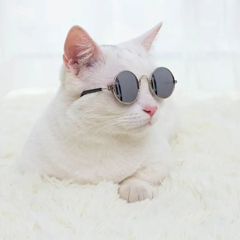 🇫🇷 Français : Lunettes de soleil pour chats et petits chiens – Protection UV, accessoire photo et cosplay  🇬🇧 English : Cat & Small Dog Sunglasses – UV Protection, Cute Cosplay & Photo Prop