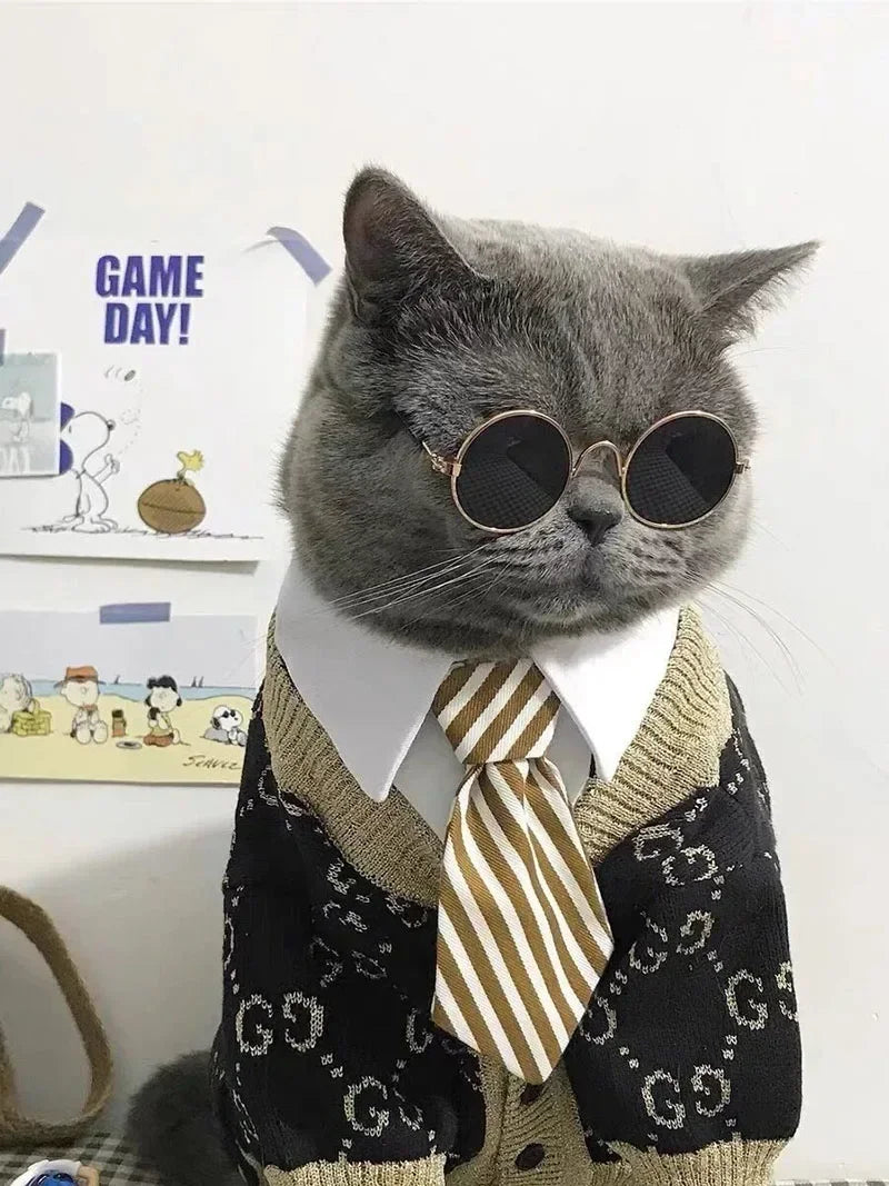 🇫🇷 Français : Lunettes de soleil pour chats et petits chiens – Protection UV, accessoire photo et cosplay  🇬🇧 English : Cat & Small Dog Sunglasses – UV Protection, Cute Cosplay & Photo Prop