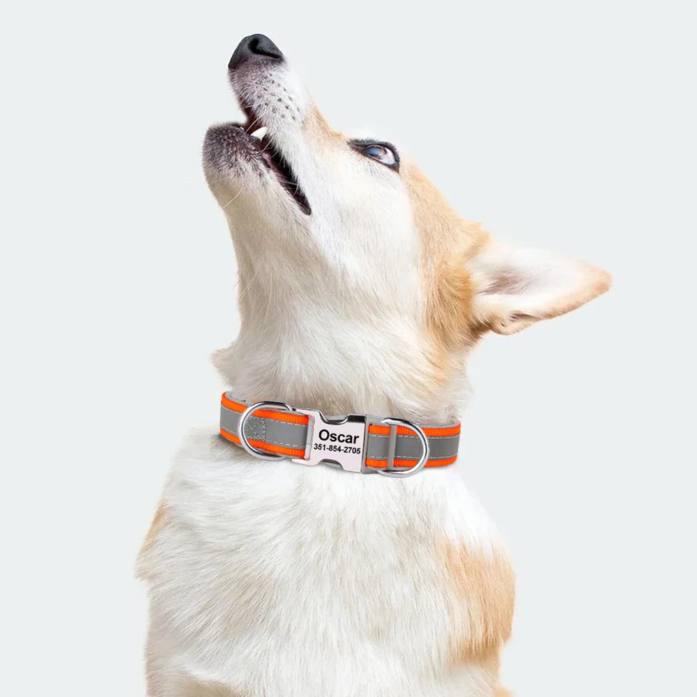 🇫🇷 Collier pour chien réfléchissant et personnalisé – Nylon gravé avec ID, rembourré et réglable pour petits, moyens et grands chiens  🇬🇧 Reflective Personalized Dog Collar – Engraved ID Nylon, Soft Padded & Adjustable for Small, Medium & Large Dogs