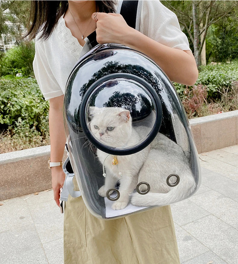 🇫🇷 Sac à dos capsule transparent pour chat et petit chien – Sac de transport respirant et portable  🇬🇧 Transparent Capsule Pet Backpack – Breathable and portable carrier for cats & small dogs