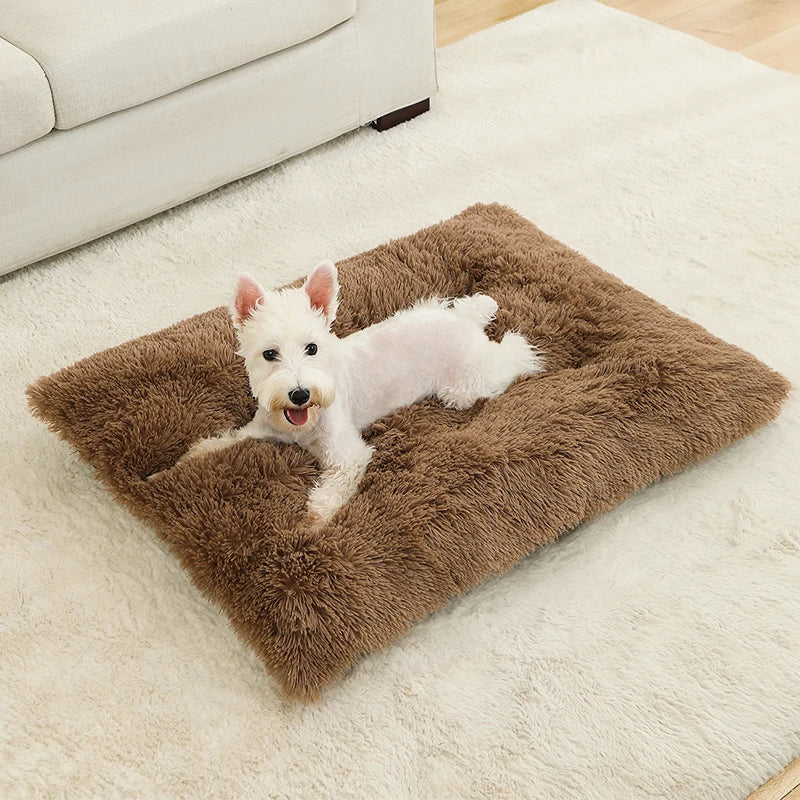 🇫🇷 Lit pour chien ultra doux – Maison en peluche longue, coussin confortable, panier ou canapé pour chiens, chats et petits animaux 🇬🇧 Soft Plush Dog Bed – Cozy House, Cushion or Sofa for Dogs, Cats & Small Pets, Ideal for Rest & Sleep